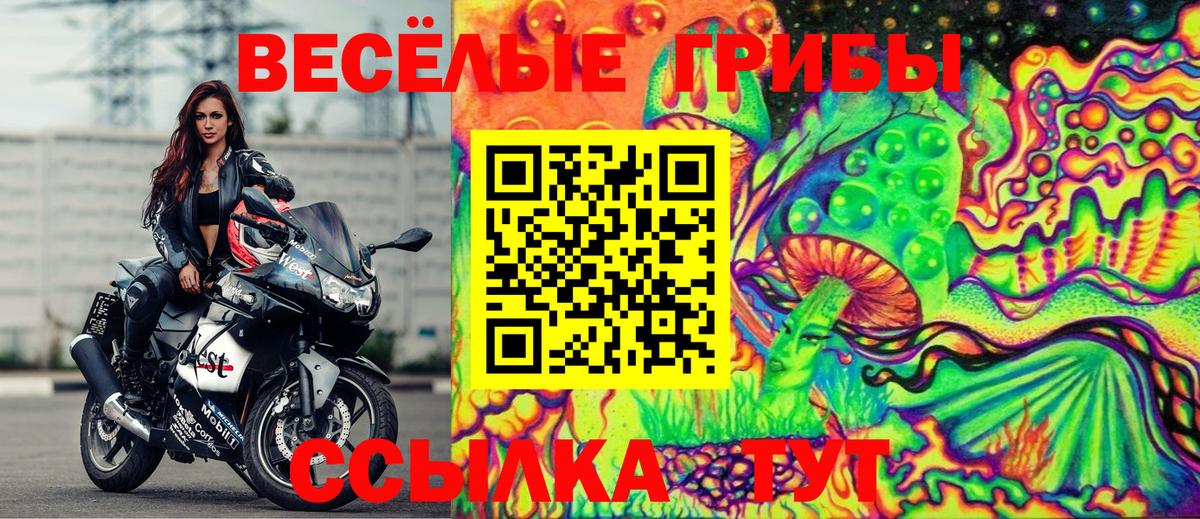 Псилоцибиновые грибы MAGIC MUSHROOMS  Вход с VPN  Елец  как найти наркотики  Галлюциногенные грибы прущие грибы 